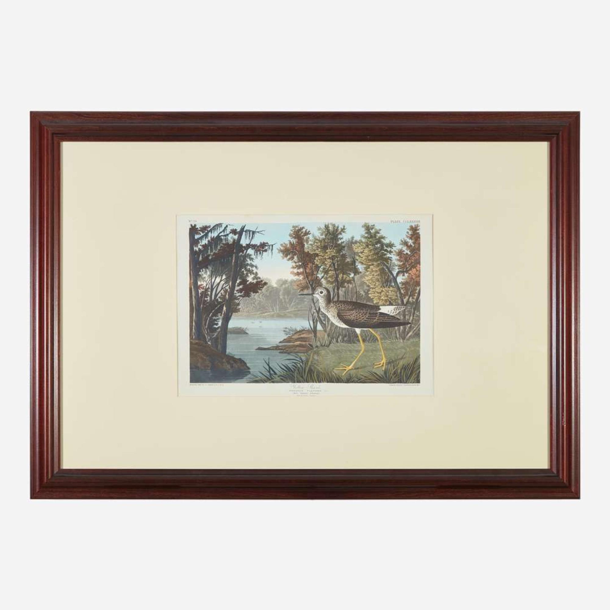 [Prints] Audubon, J(ohn). J(ames). Yellow Shank