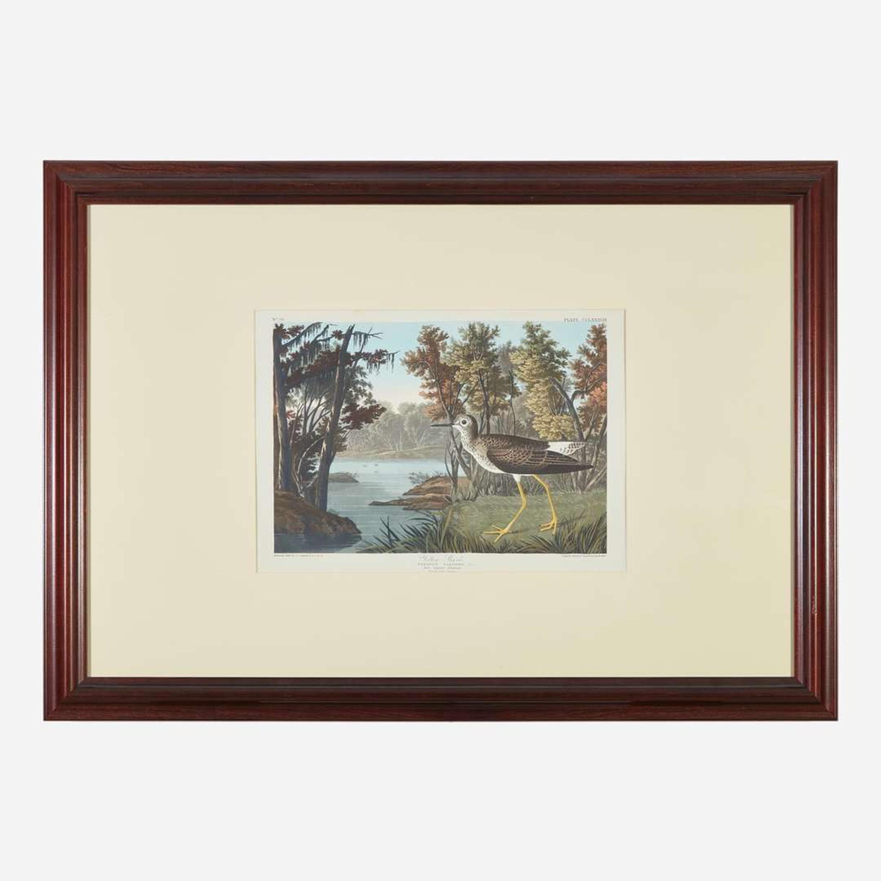 [Prints] Audubon, J(ohn). J(ames). Yellow Shank