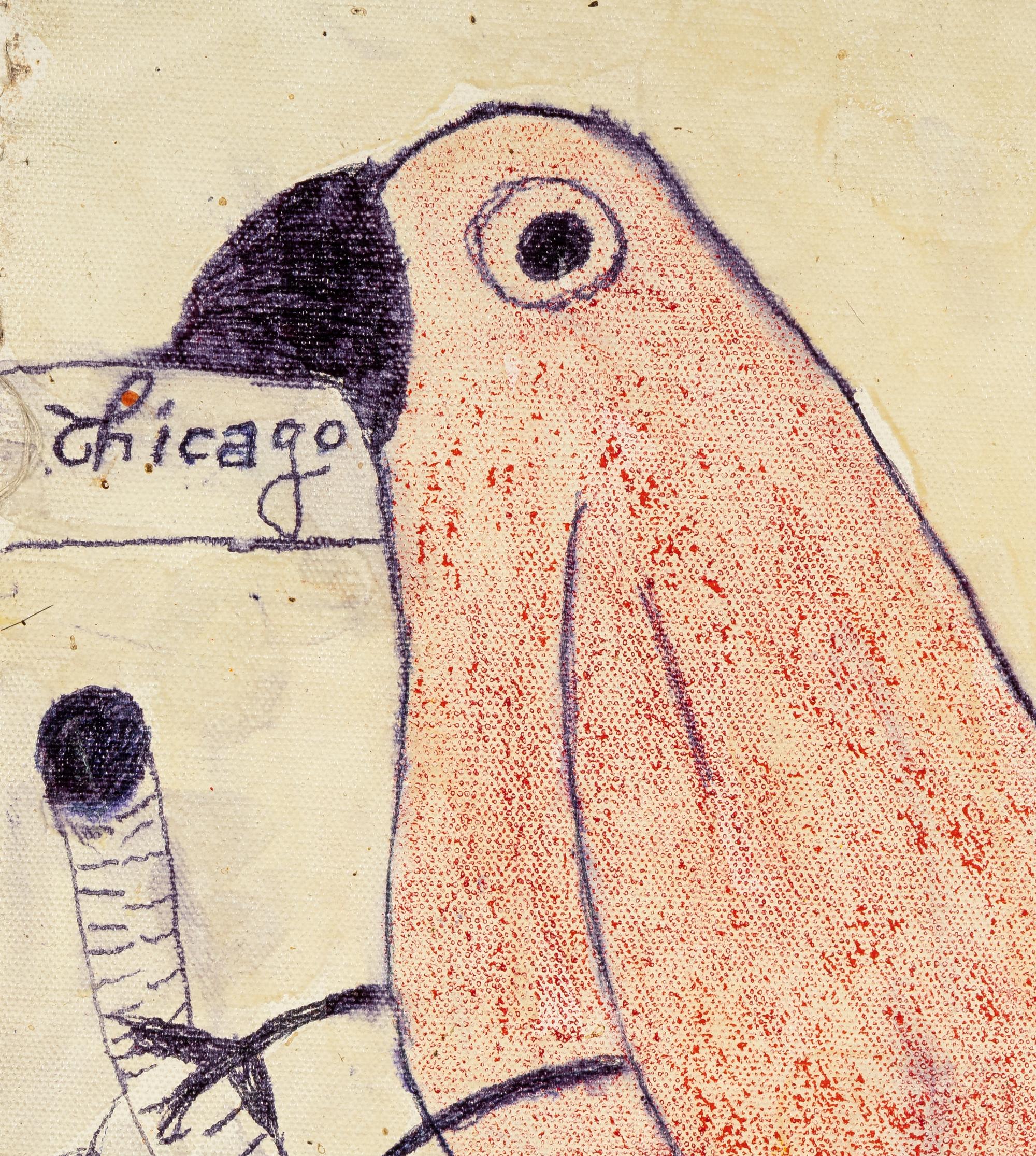 Chicago (Birds)