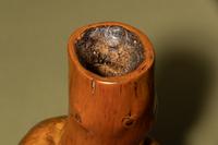 A Carved Wood Root Tianqiuping- Form Vase