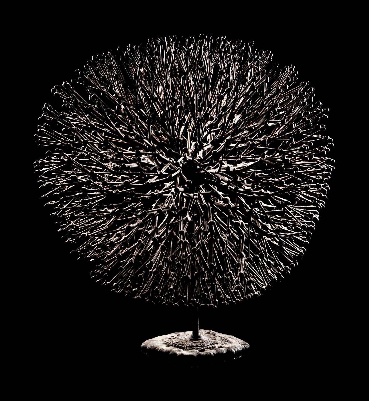 Untitled (Bush)