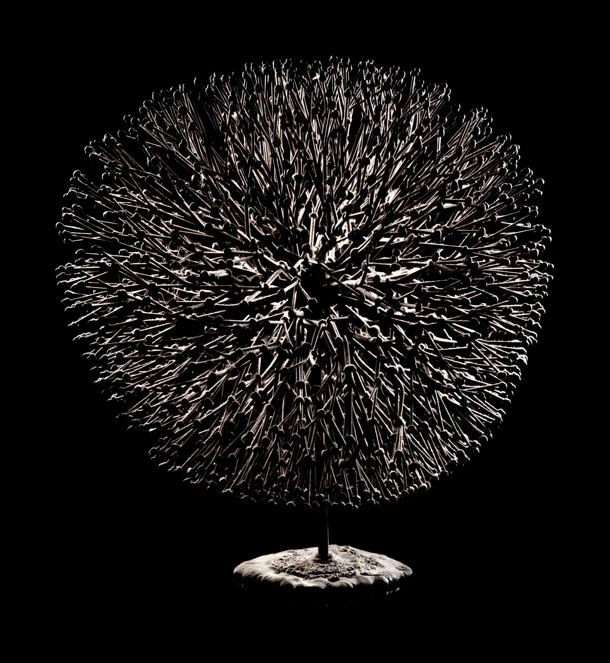 Untitled (Bush)