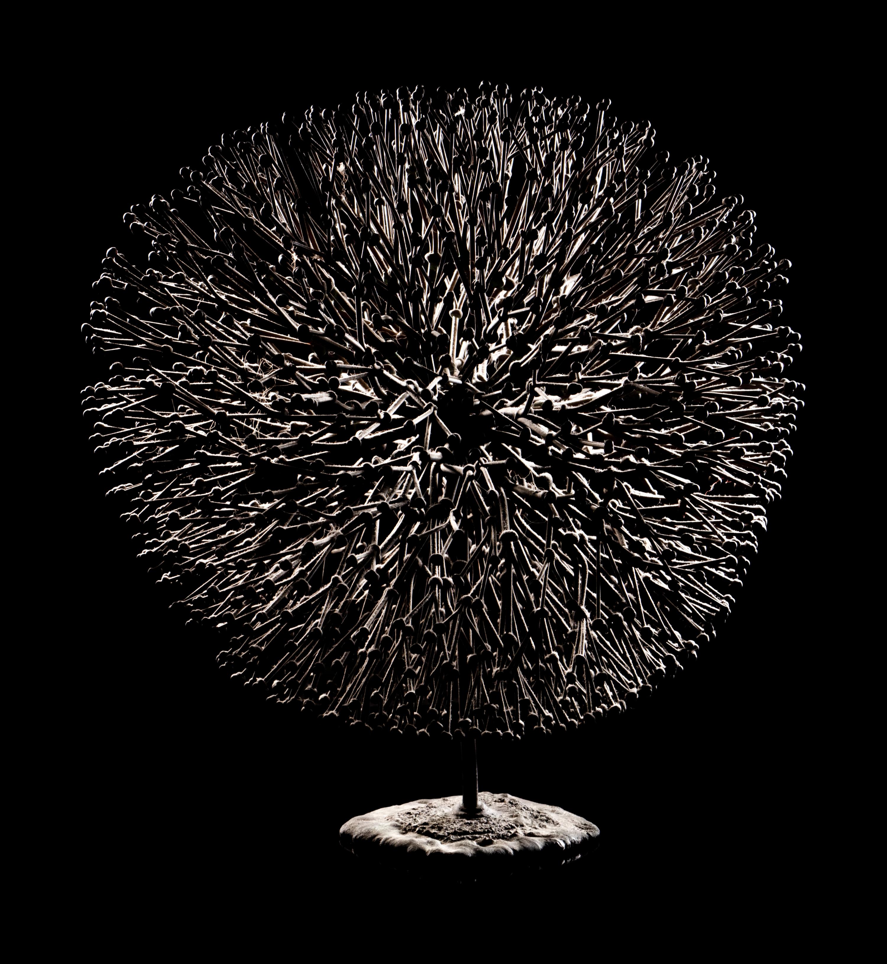 Untitled (Bush)