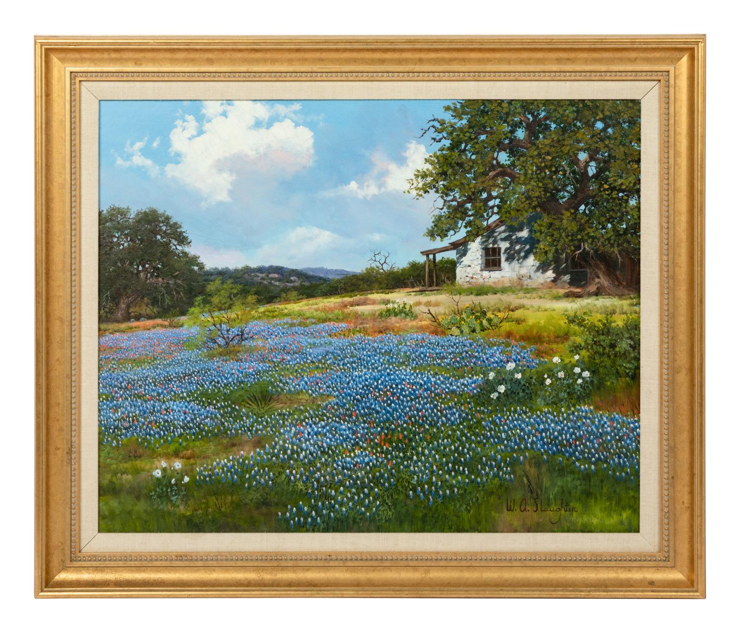 Barn and Bluebonnets