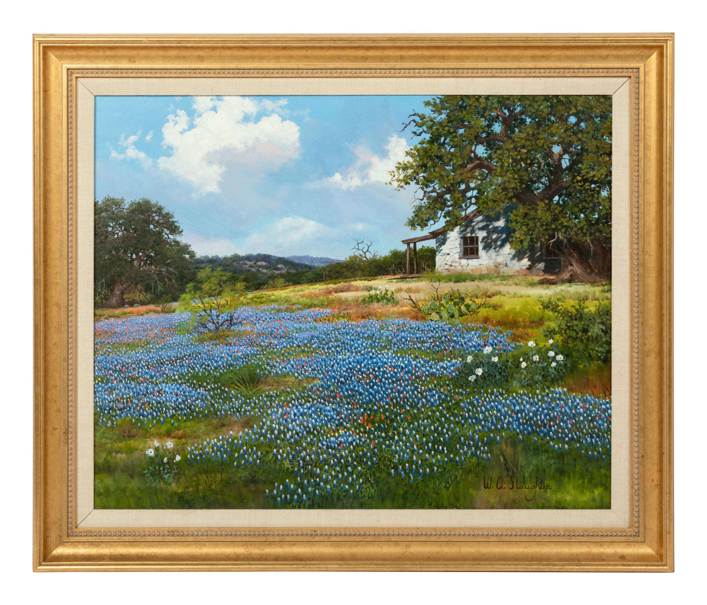 Barn and Bluebonnets