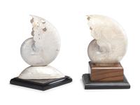 Two Carved Nautilus Shells
