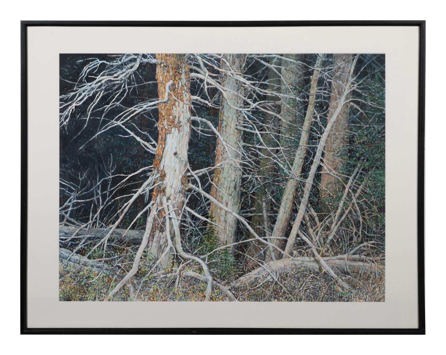 Bristle Cone Pines