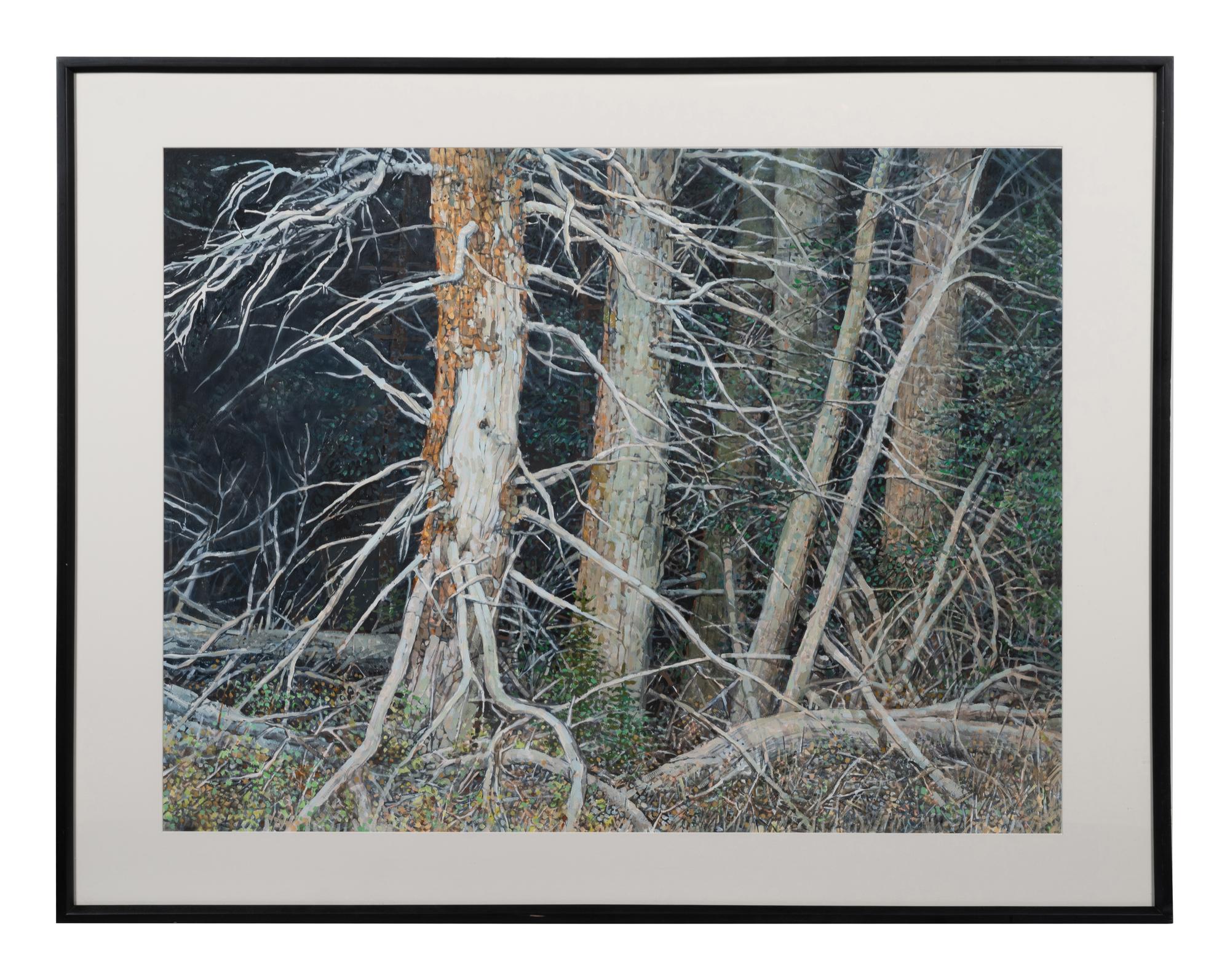 Bristle Cone Pines
