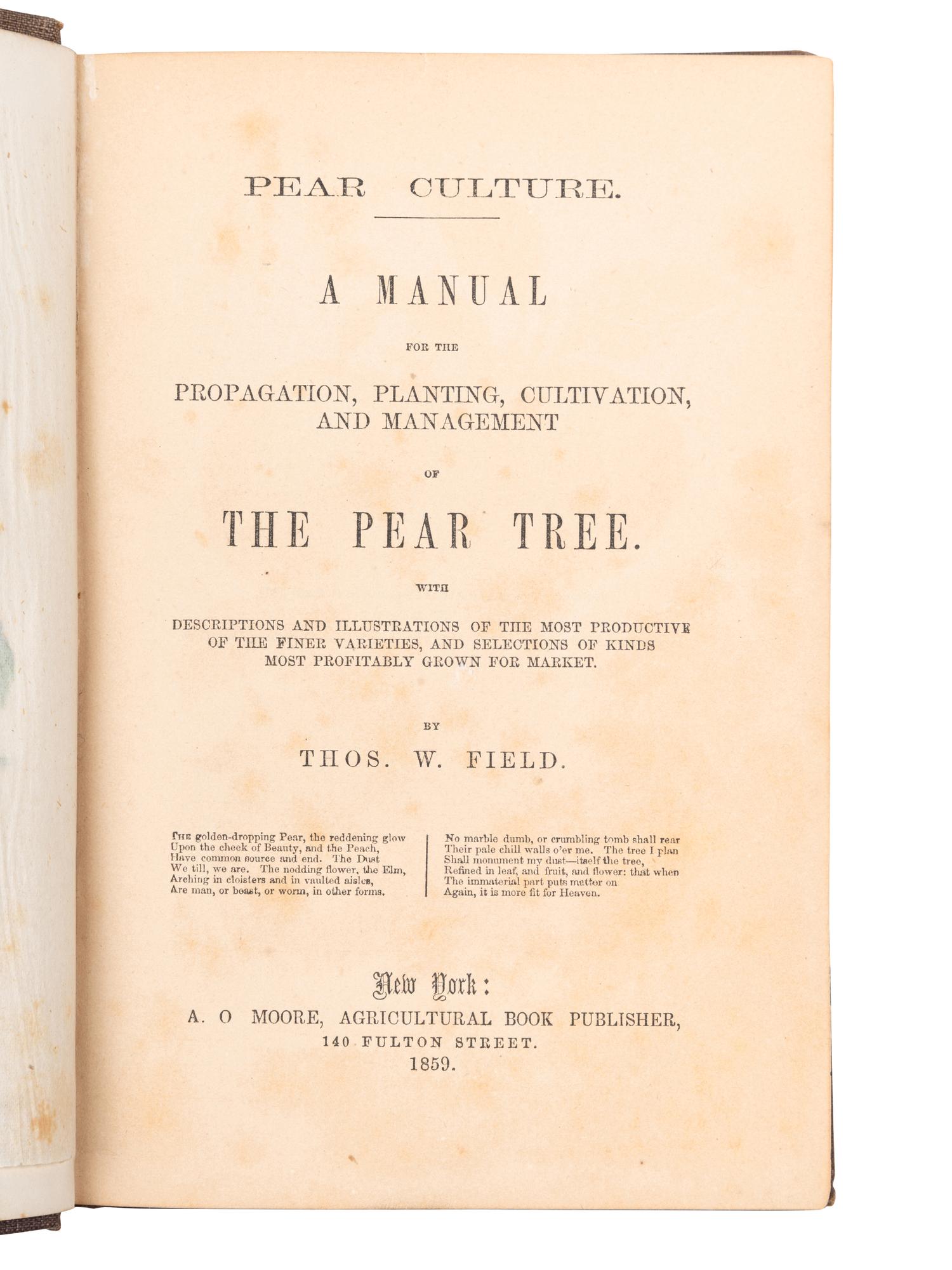 [FRUIT TREES]. A group of 4 works, comprising: