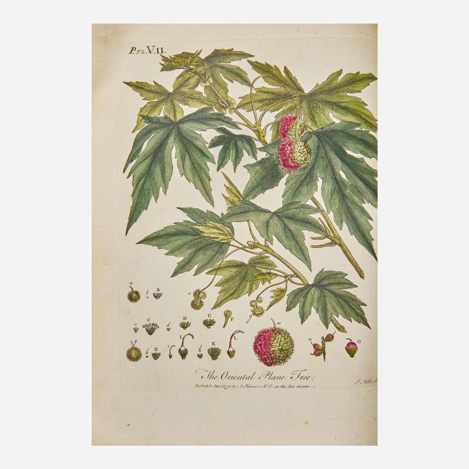 [Natural History] Evelyn, John Silva: Or, A Discourse of Forest-Trees…