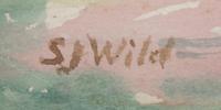 Samuel J. Wild, ,