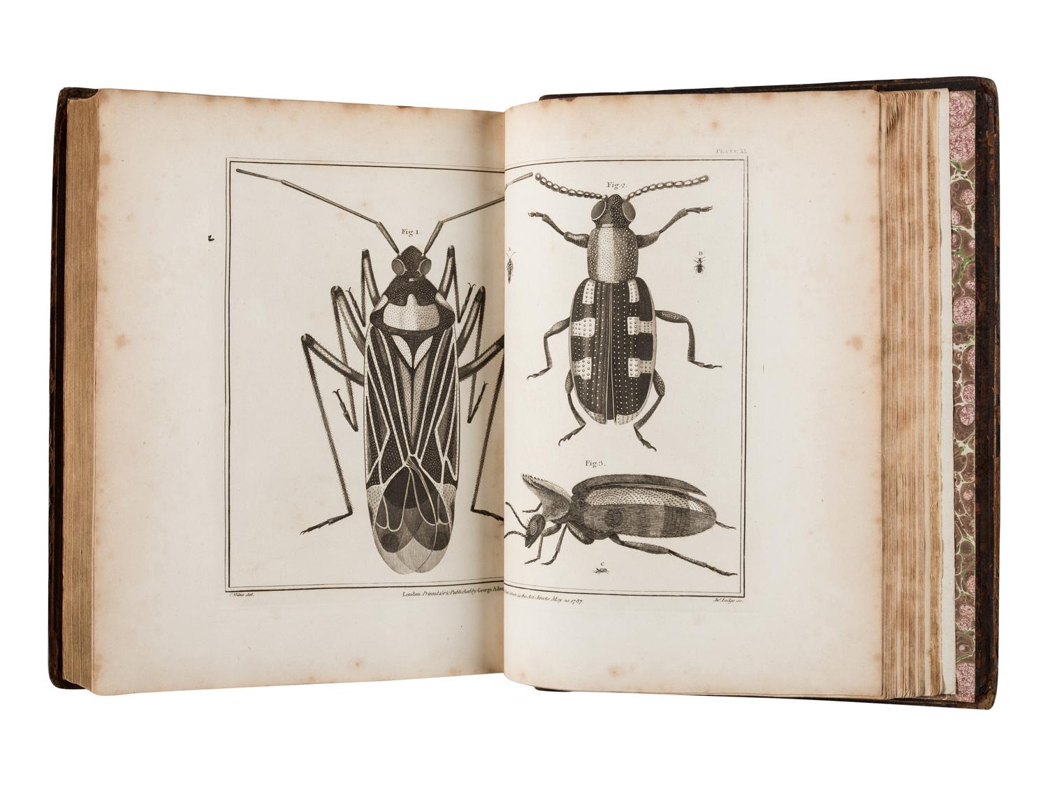 ADAMS, George (1750-1795). Essays on the Microscope, containing a Practical Description of the most improved Microscopes . London: Dillon and Keating, 1798.