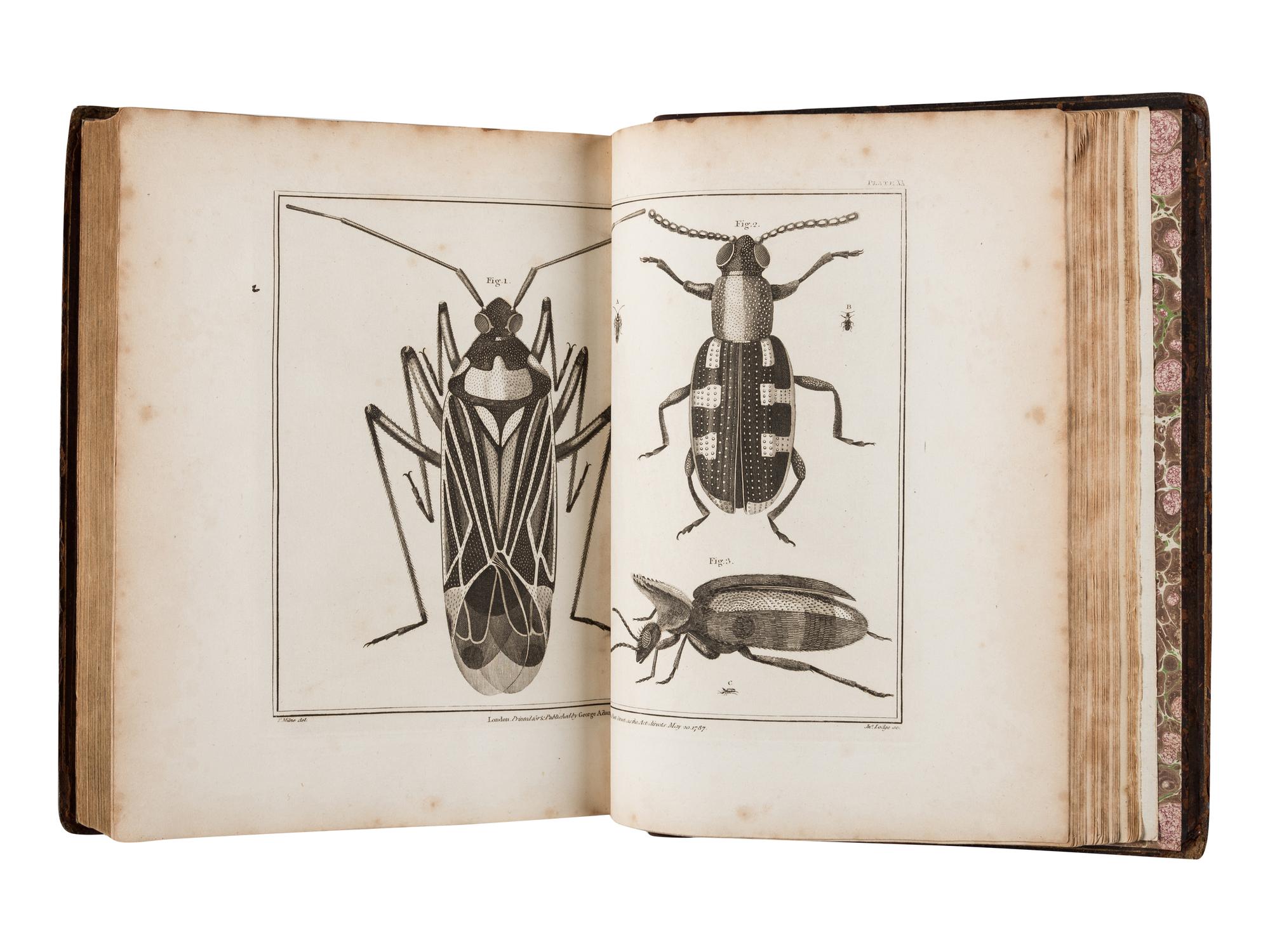 ADAMS, George (1750-1795). Essays on the Microscope, containing a Practical Description of the most improved Microscopes . London: Dillon and Keating, 1798.