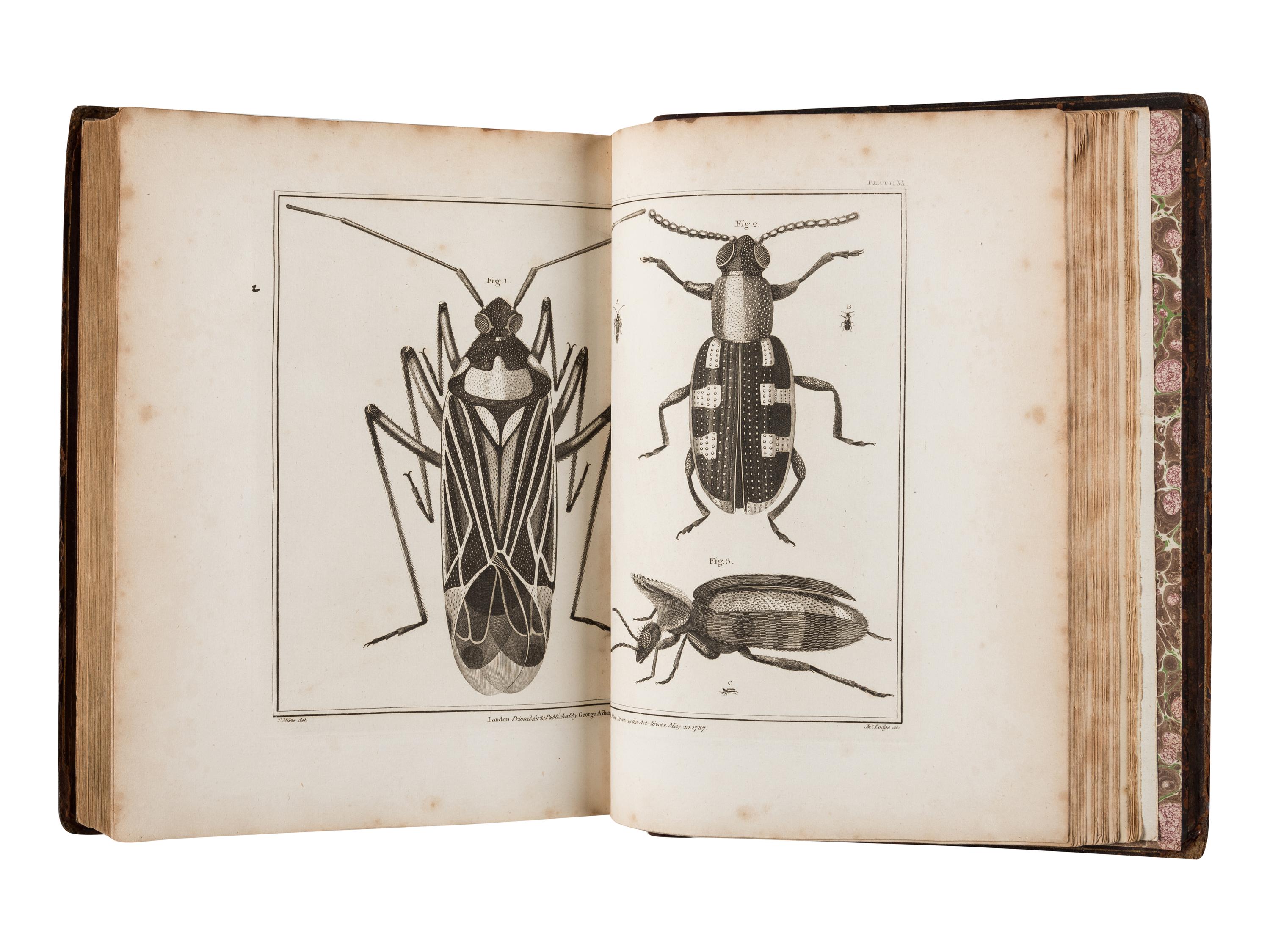 ADAMS, George (1750-1795). Essays on the Microscope, containing a Practical Description of the most improved Microscopes . London: Dillon and Keating, 1798.