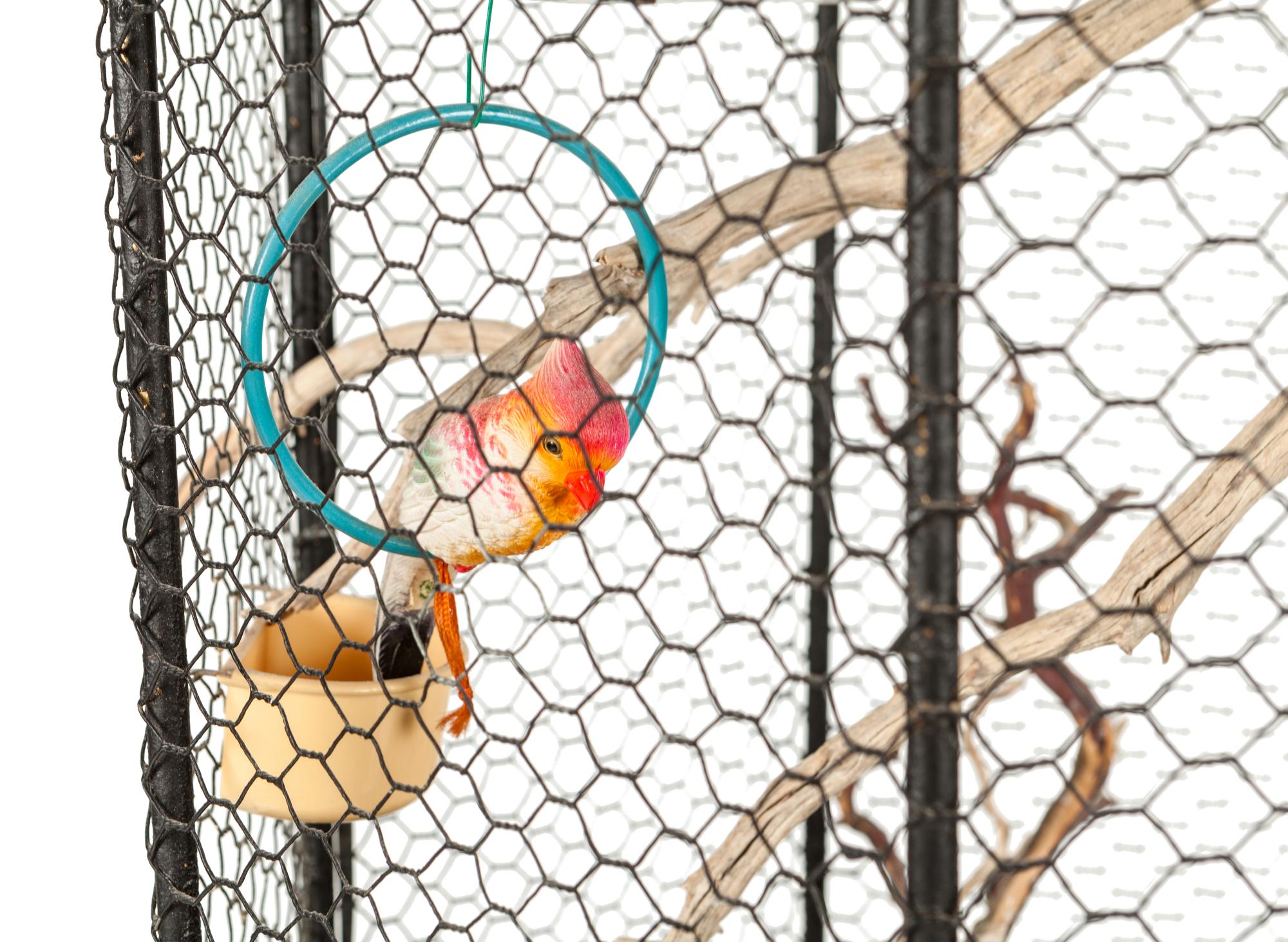 A Chinese Style Bird Cage and Stand