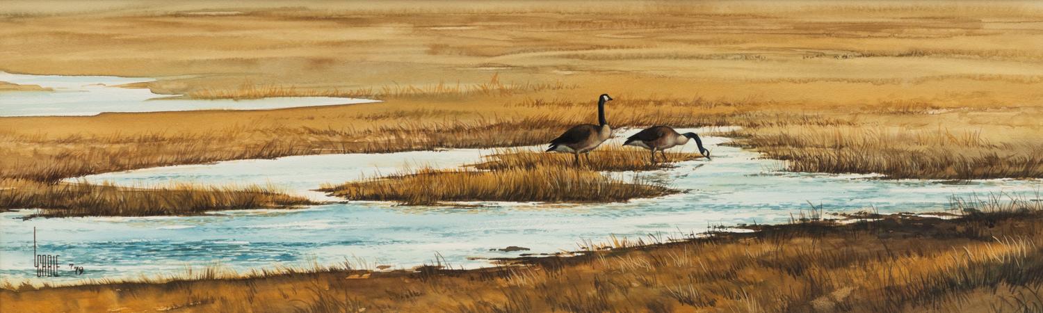 Two Geese