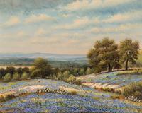 Texas Bluebonnets