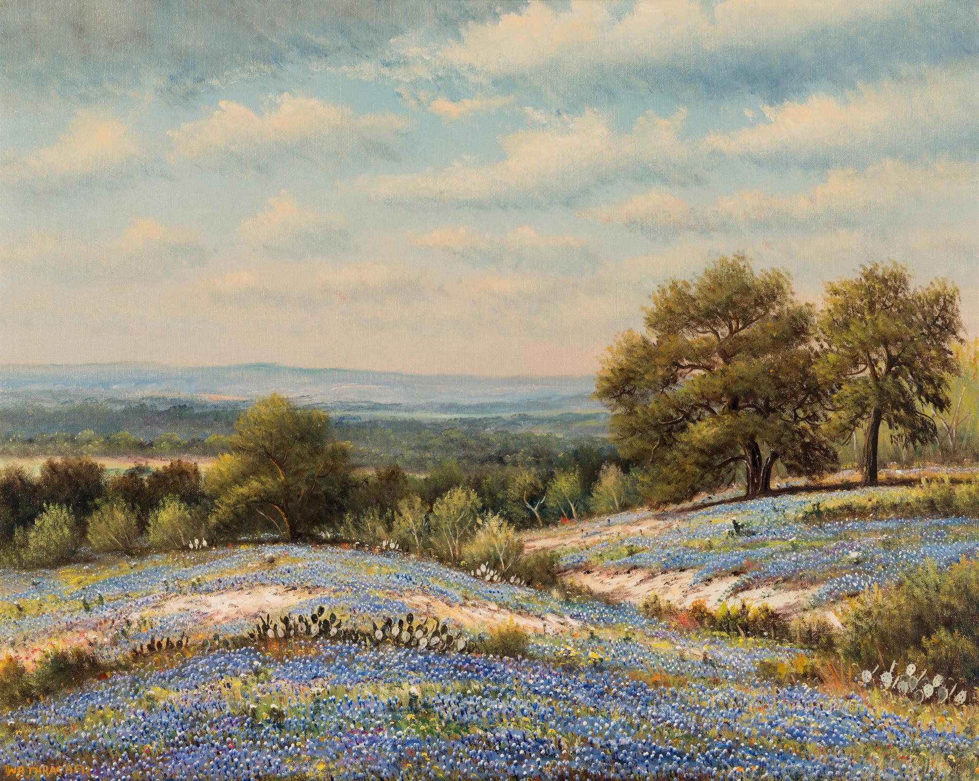 Texas Bluebonnets