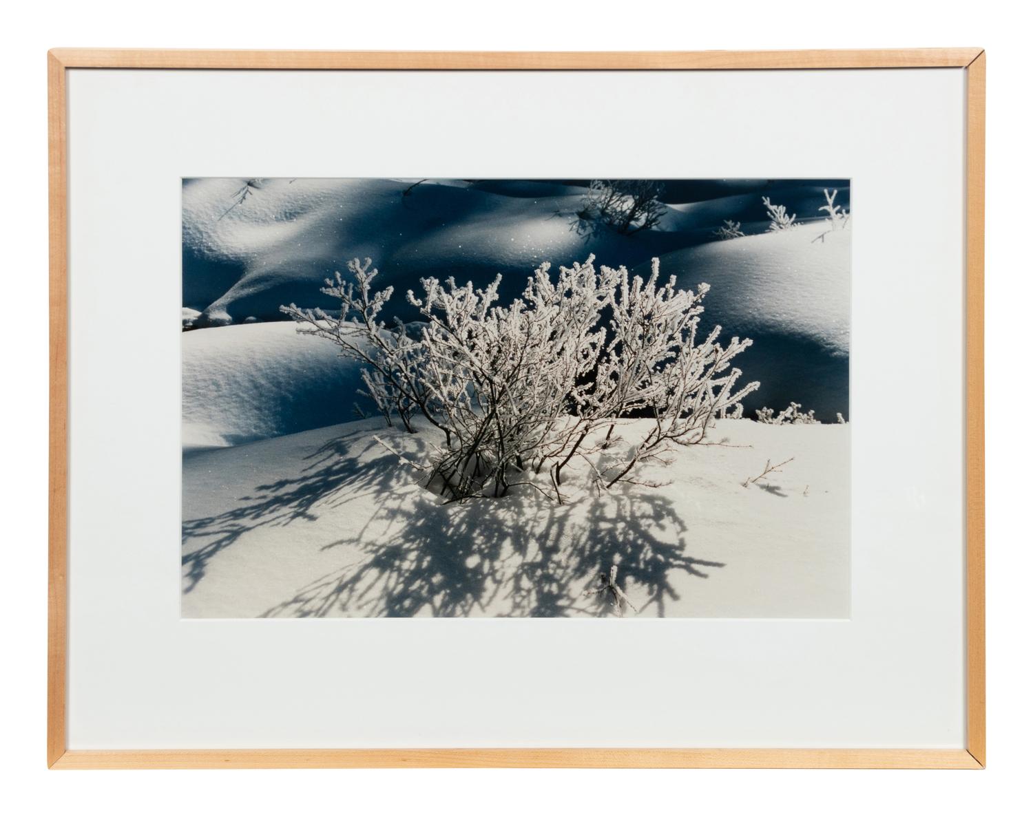 A group of three works (Get These Flowers Off My Head; Intensity II; Winter Scene)