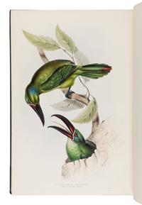 [Natural History]. Gould, John (1804-1881). A Monograph of the Ramphastidae, or Family of Toucans . London: Published by the Author, [1833-] 1834 [-1835].