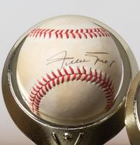 A Collection of Eleven 500 Home Run Club Autographed Baseballs Height of display case 9 inches x width 36 1/2 x depth 10 inches.