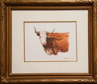 The Hereford Cow