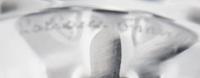 Two Lalique Table Articles