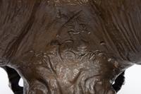 Bighorn Skull , edition 1/22