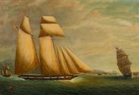 Sailboats in Harbor