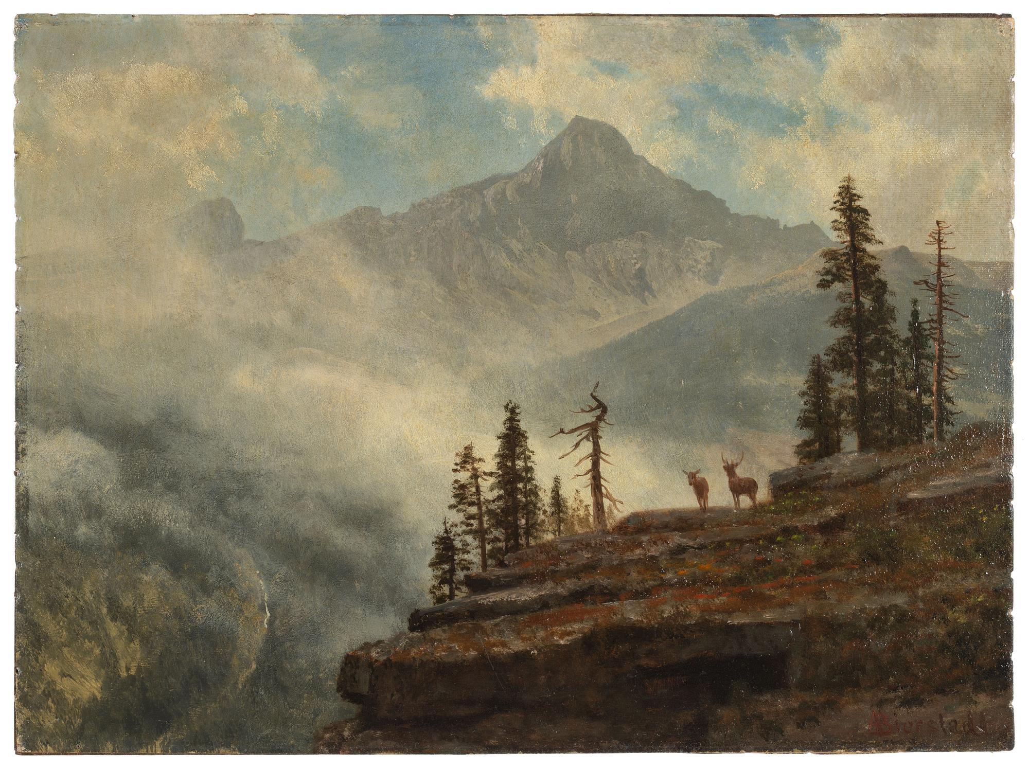 California Mountain Crag