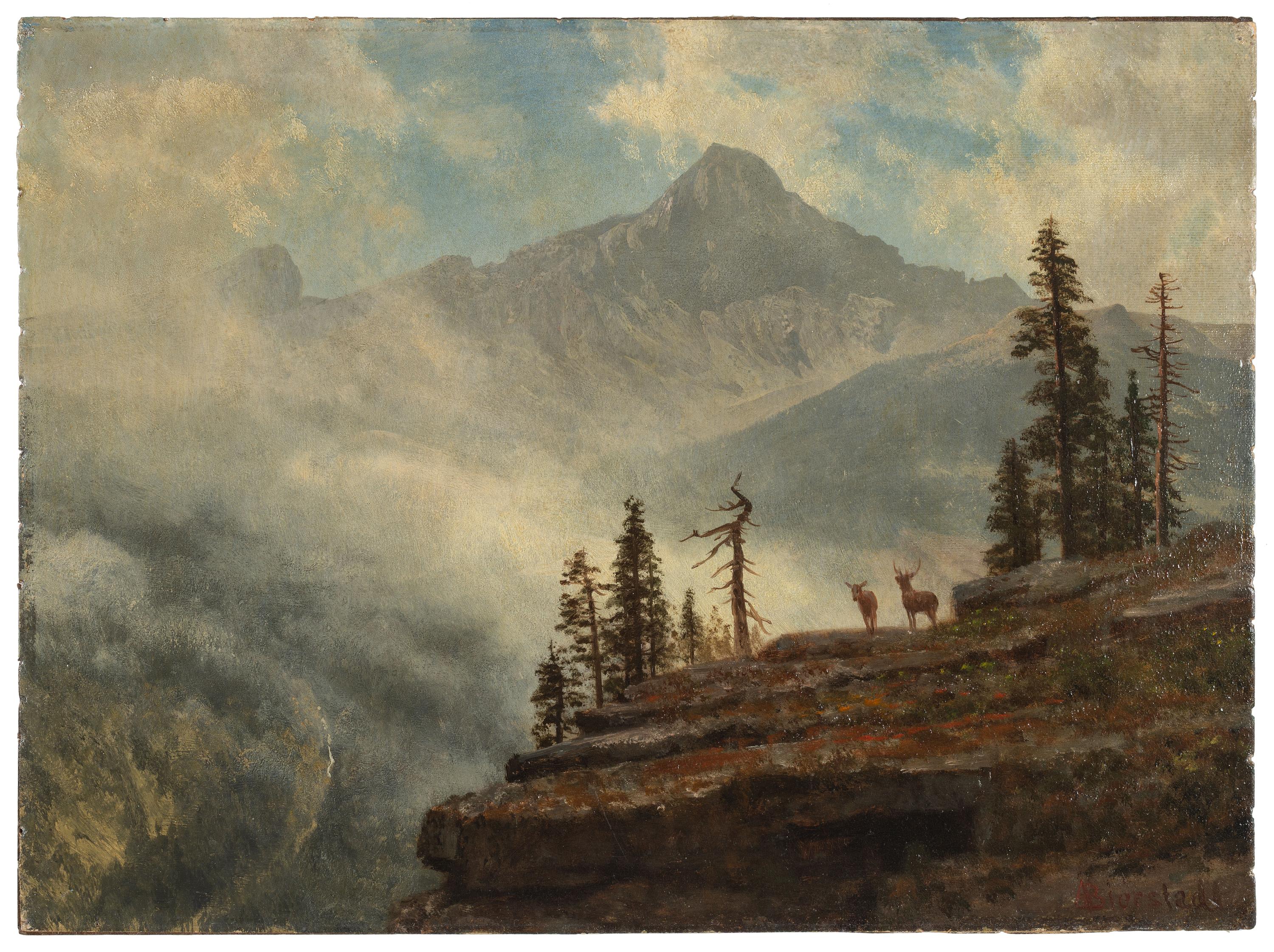 California Mountain Crag