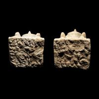 A Pair of South Arabian Limestone Seated Figures