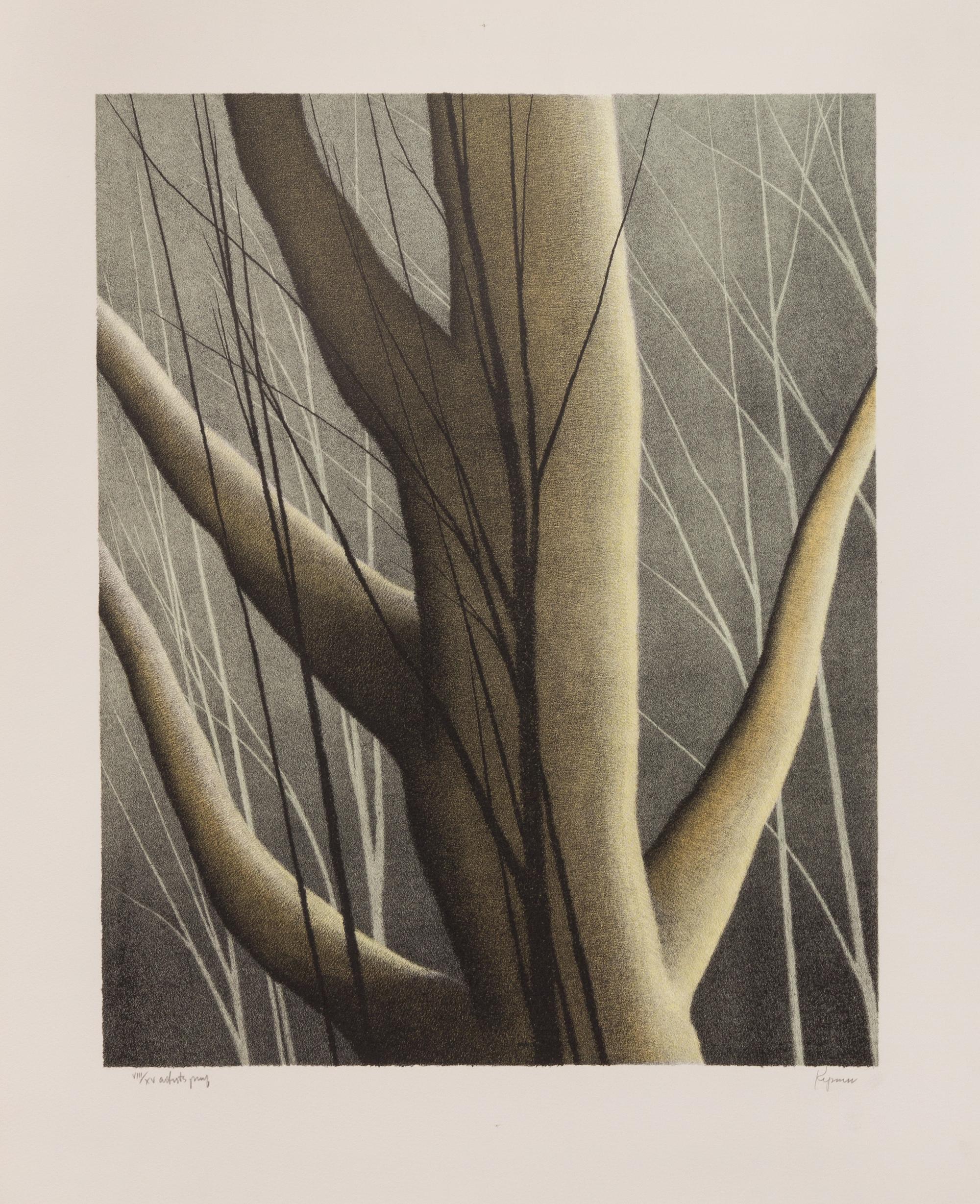 Robert Kipniss, (American, b. 1931), Essence