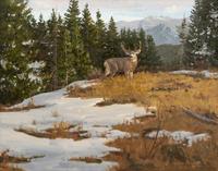 Indian Summer