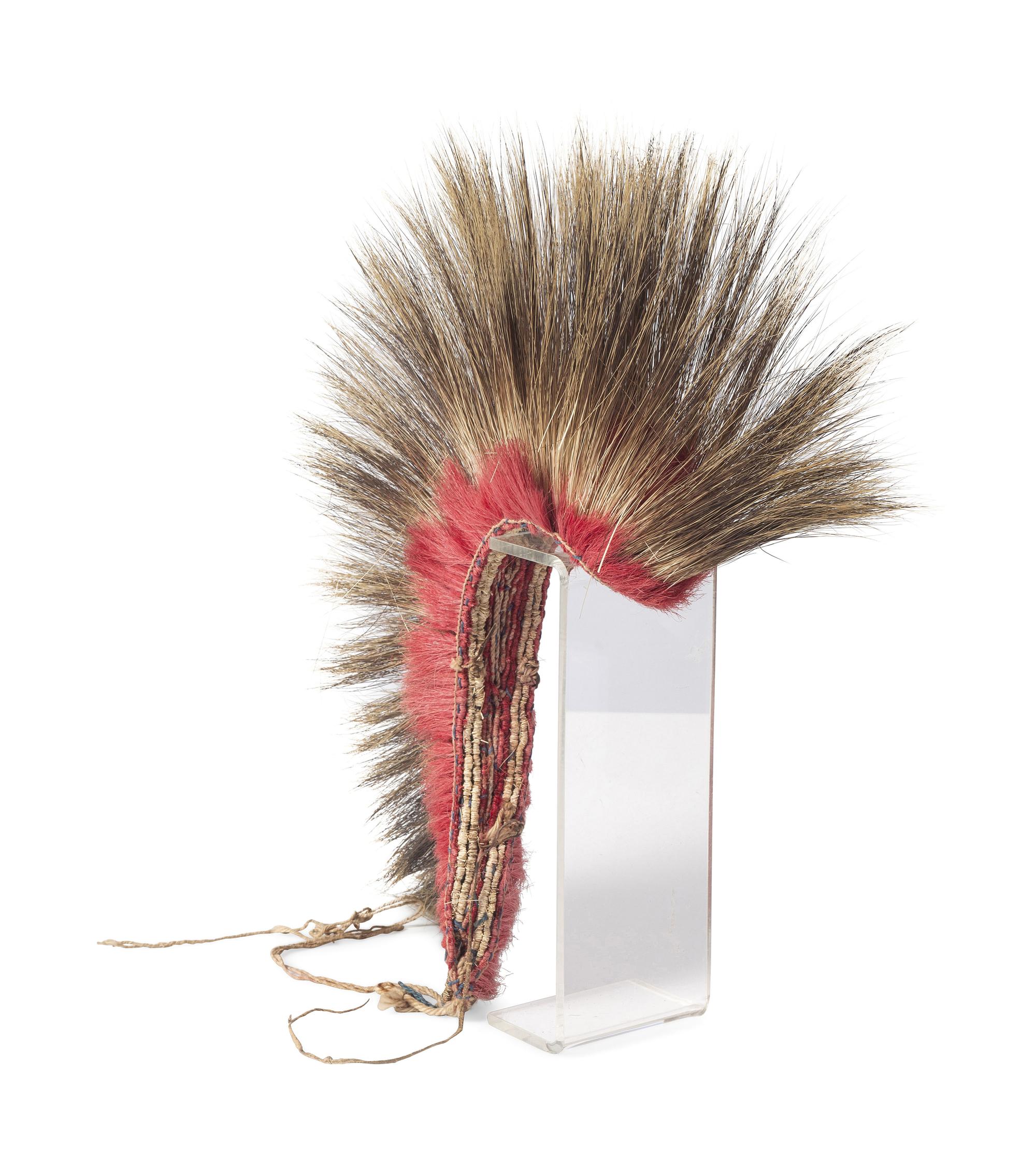 Plains Porcupine Hair Roach