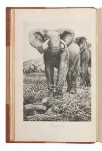 CHAPMAN, Abel (1851-1929). On Safari . London: Edward Arnold, 1908.