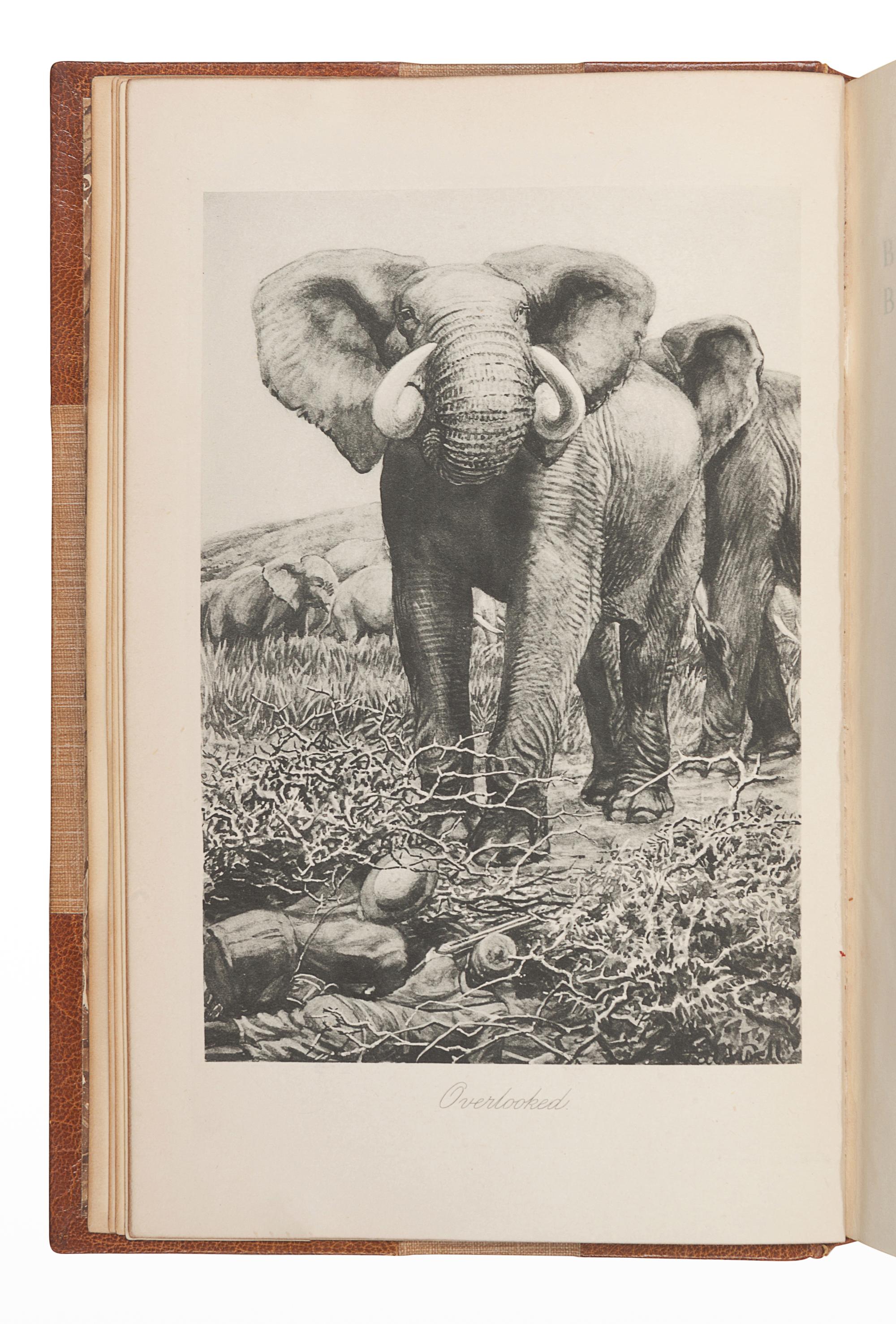 CHAPMAN, Abel (1851-1929). On Safari . London: Edward Arnold, 1908.