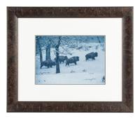 Bison in Snow , edition 89/950