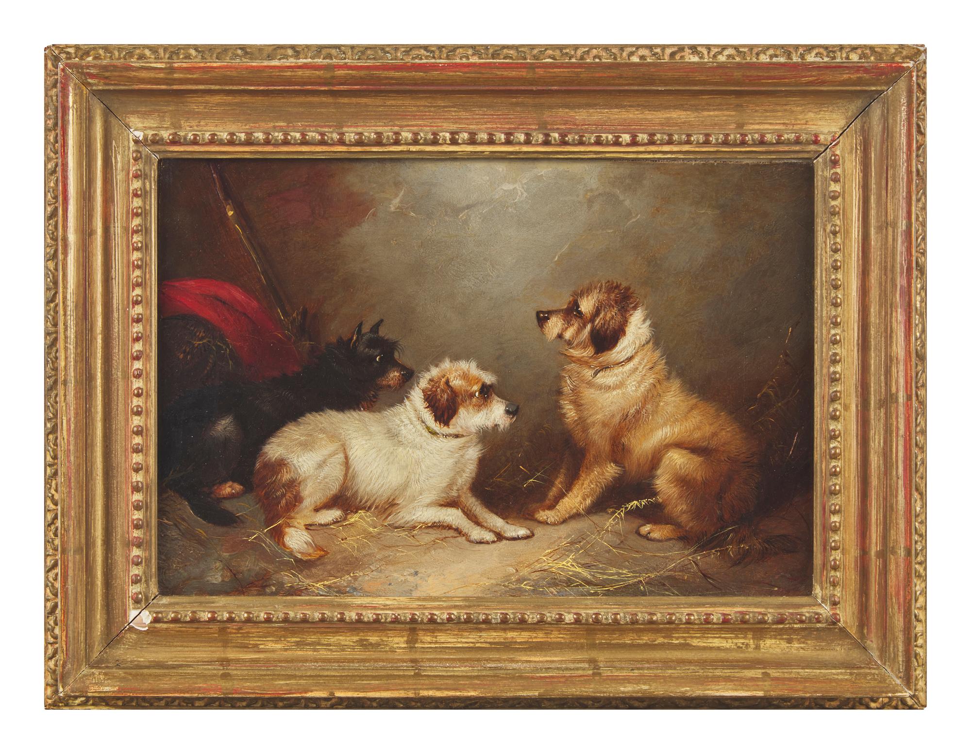 Terriers