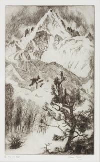 Pine and Peak