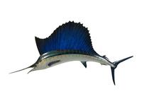 A Faux Taxidermy Sailfish — 21ST CENTURY