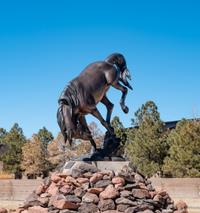 The Bronc , edition 3/5