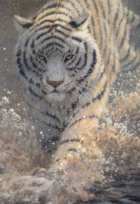 White Lightning , Study