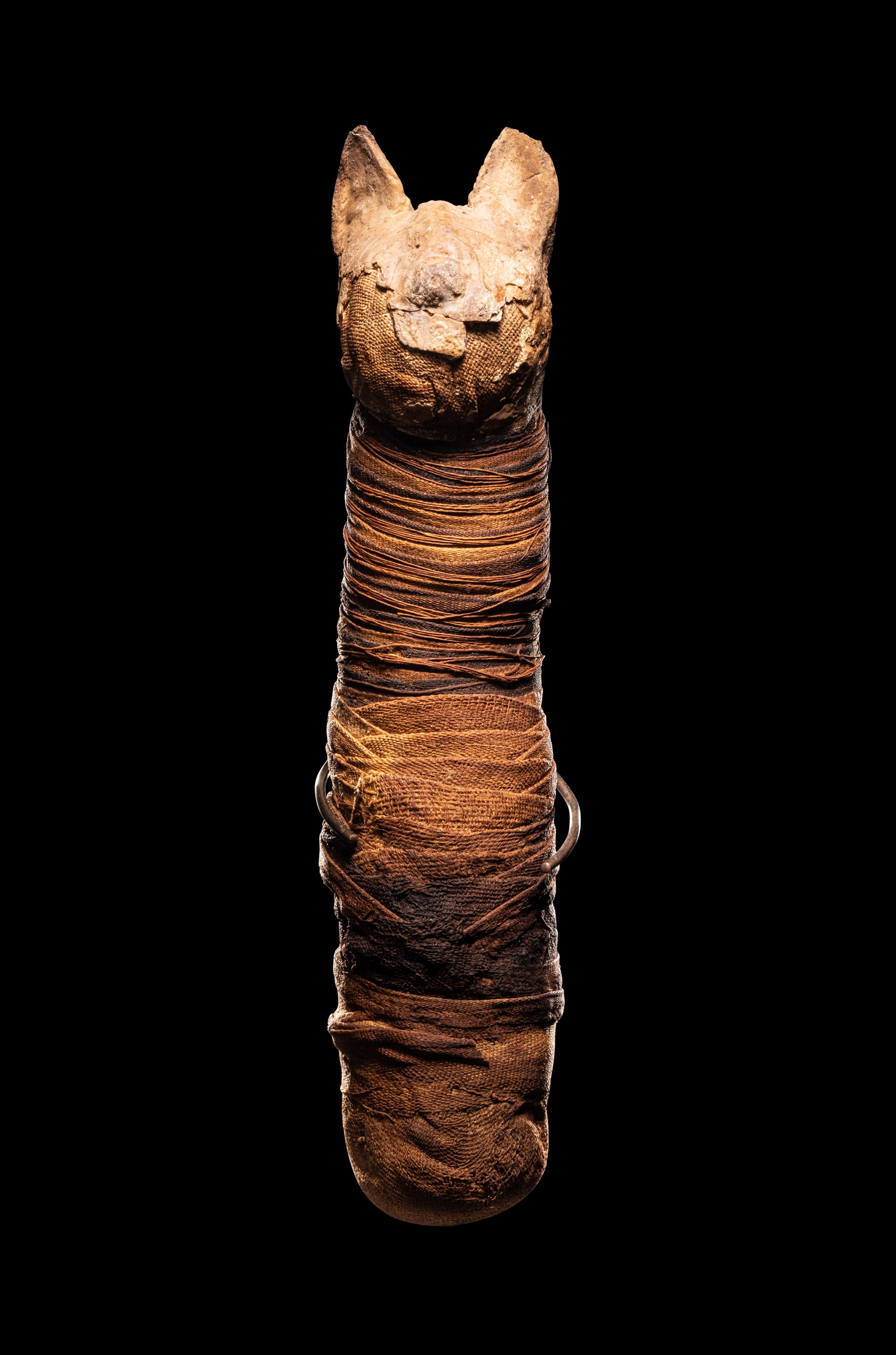 An Egyptian Mummified Cat