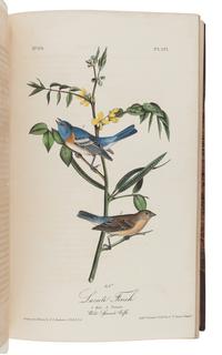 AUDUBON, John James (1785-1851). The Birds of America, from Drawings Made in the United States and their Territories . New York: J.J. Audubon; Philadelphia: J.B. Chevalier, [1839-] 1840-1844.