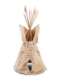 Arapaho Model Tipi