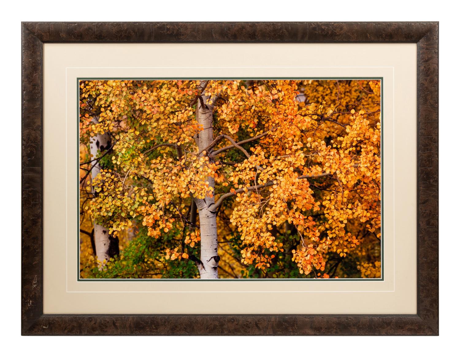 Edge of Fall , edition 187/2500