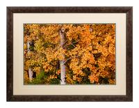 Edge of Fall , edition 187/2500