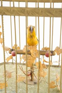 A German Gilt Metal Singing Birdcage Automaton
