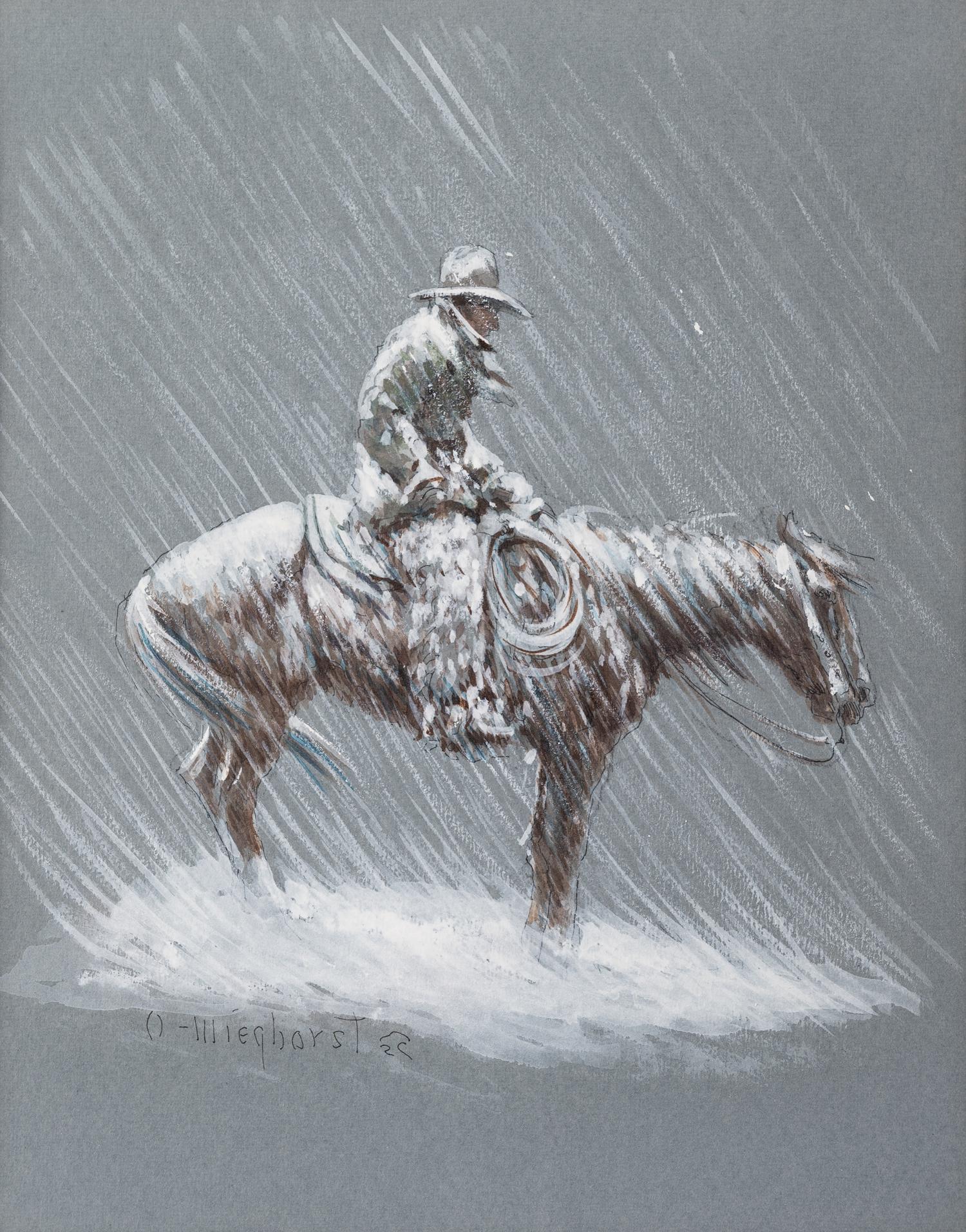 Snow Storm